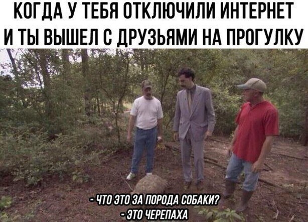 Прикольные и смешные картинки