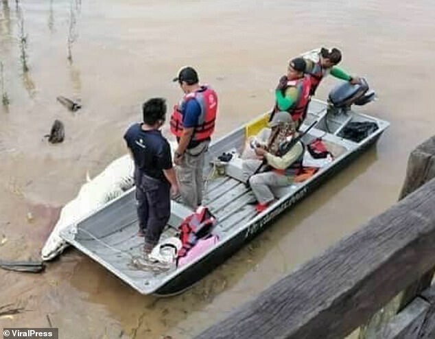 В Малайзии поймали крокодила-людоеда, который убил подростка