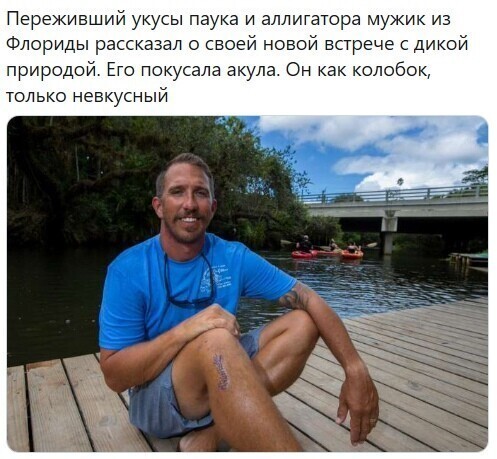 Политические комментарии из инета