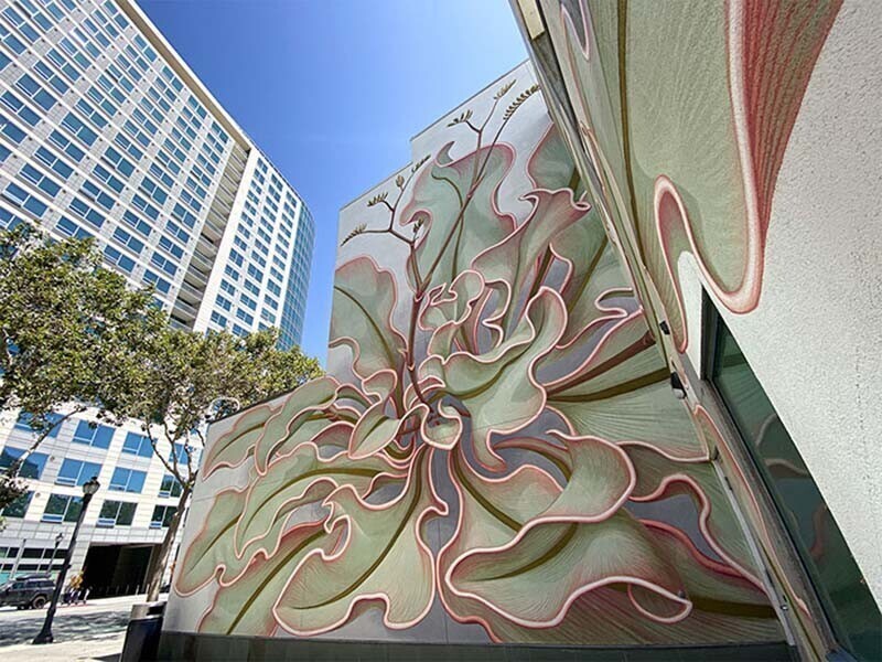 Художник нарисовал потрясающее растение на 6 стенах здания