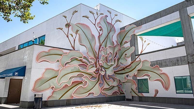 Художник нарисовал потрясающее растение на 6 стенах здания