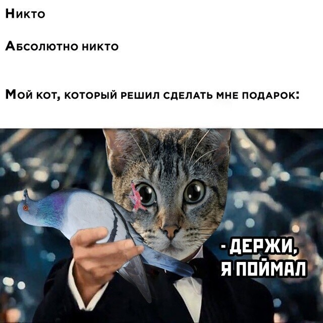 Намешалось