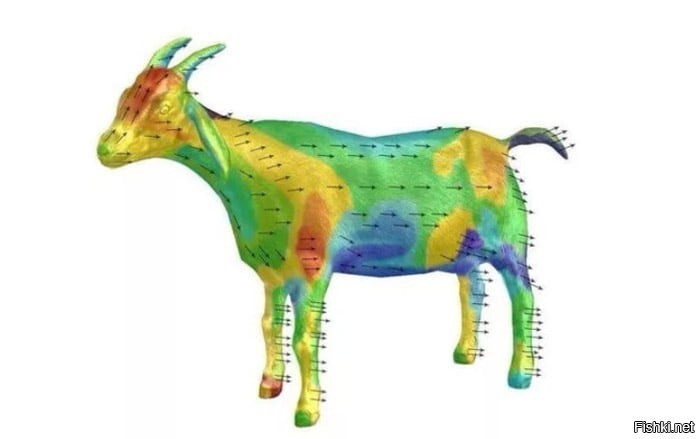 Аэродинамическая модель козы