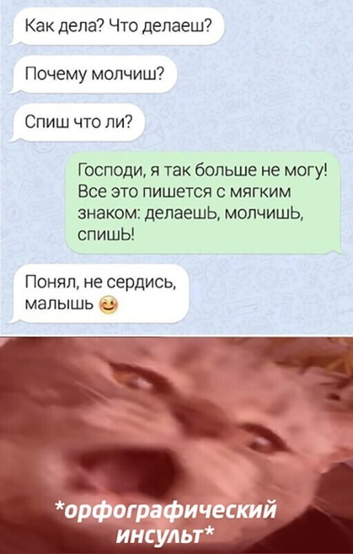 Прикольные и смешные картинки