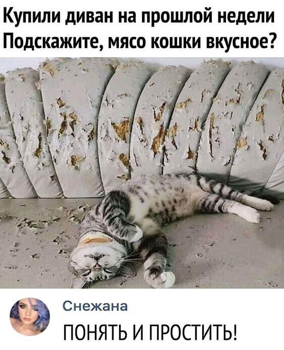 Прикольные и смешные картинки