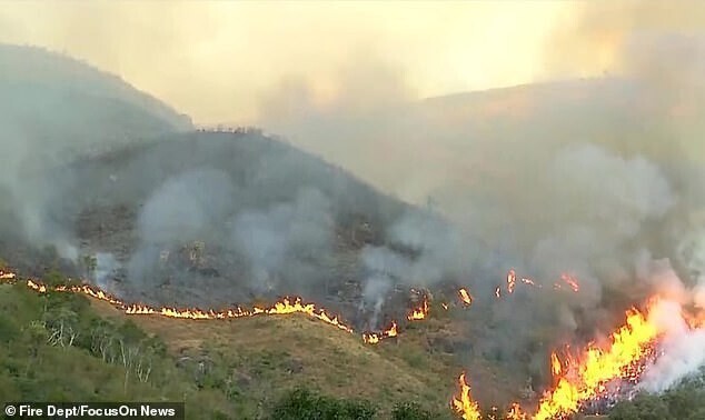 Пенсионер из Бразилии спалил 673 гектара заповедника, решив сжечь свой автомобиль