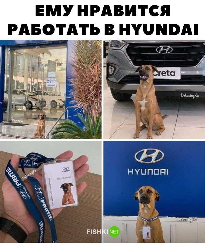 Ему нравиться работать в Hyundai