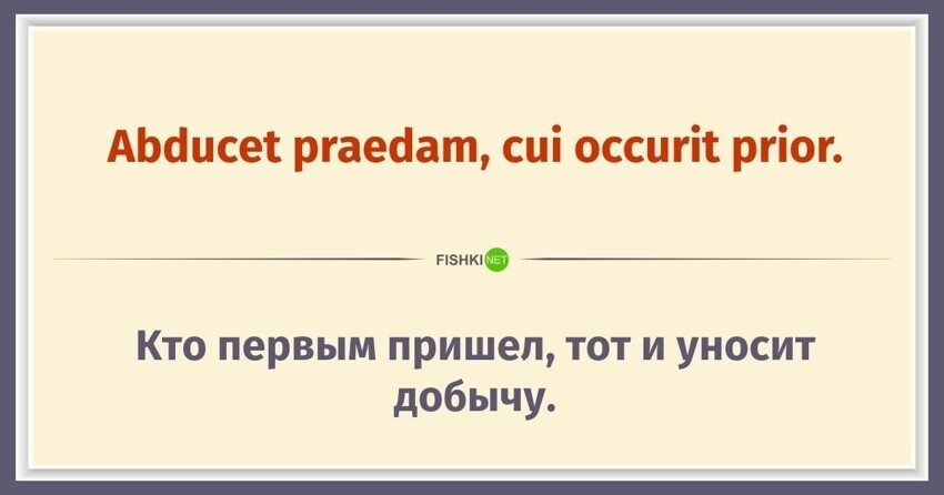 15 пословиц на латыни, которым уже более 2000 лет