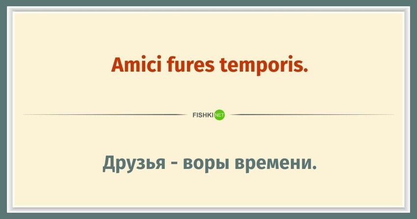 15 пословиц на латыни, которым уже более 2000 лет