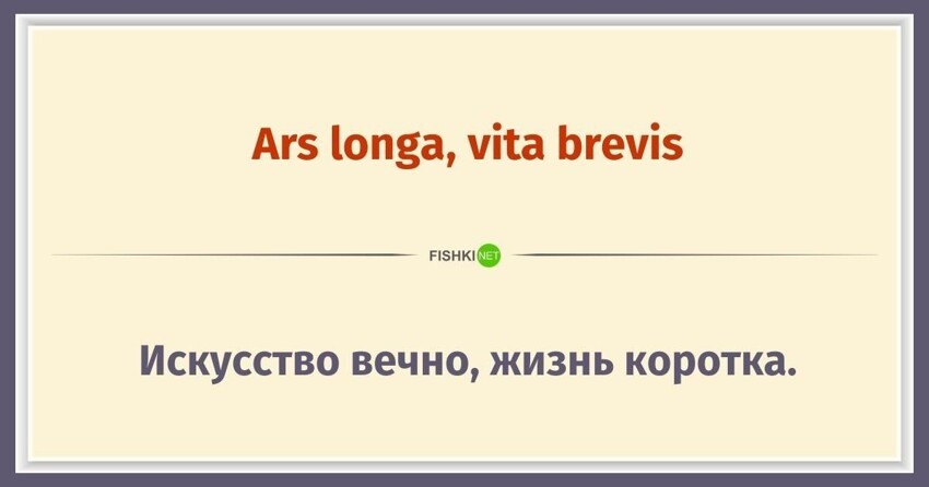 15 пословиц на латыни, которым уже более 2000 лет