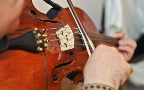 Штат Юта, США: скрипки запрещено носить в бумажных пакетах   