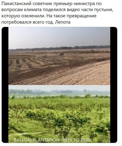 Политические комментарии из инета
