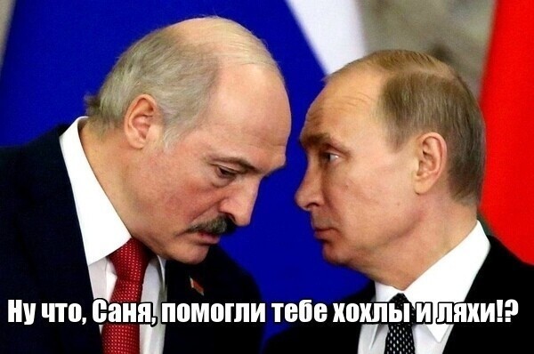 Политические комментарии из инета