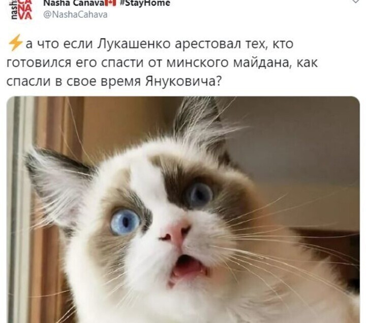 Политические комментарии из инета