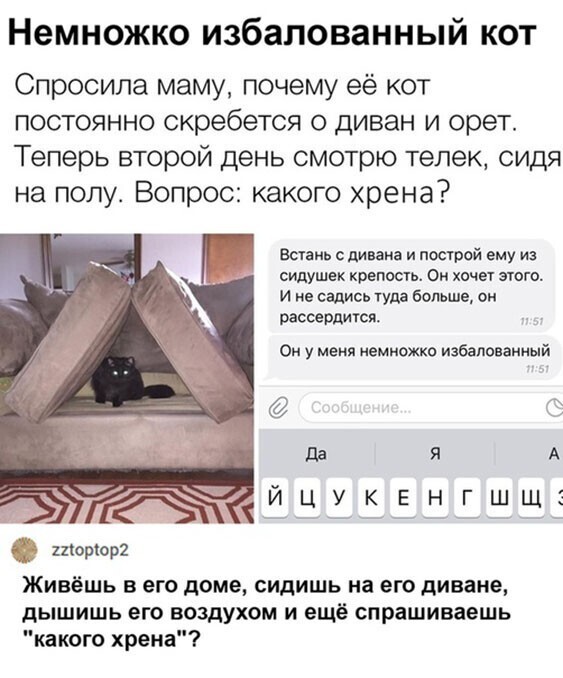 Прикольные и смешные картинки