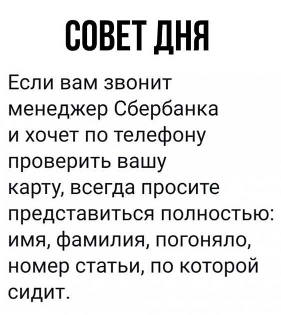 Прикольные и смешные картинки