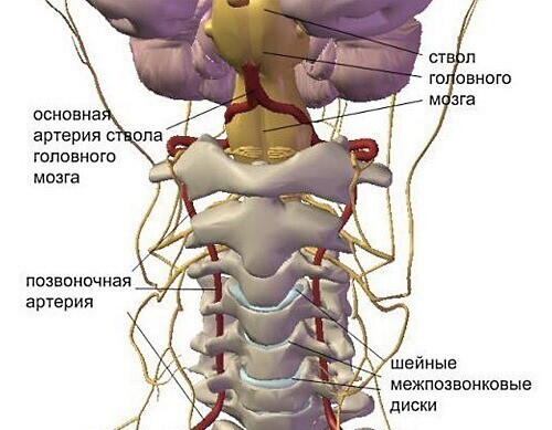 Последствия сильных перегрузок при сколиозе