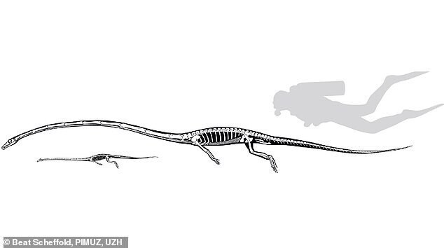 Ученые выяснили, зачем динозавру длинная шея
