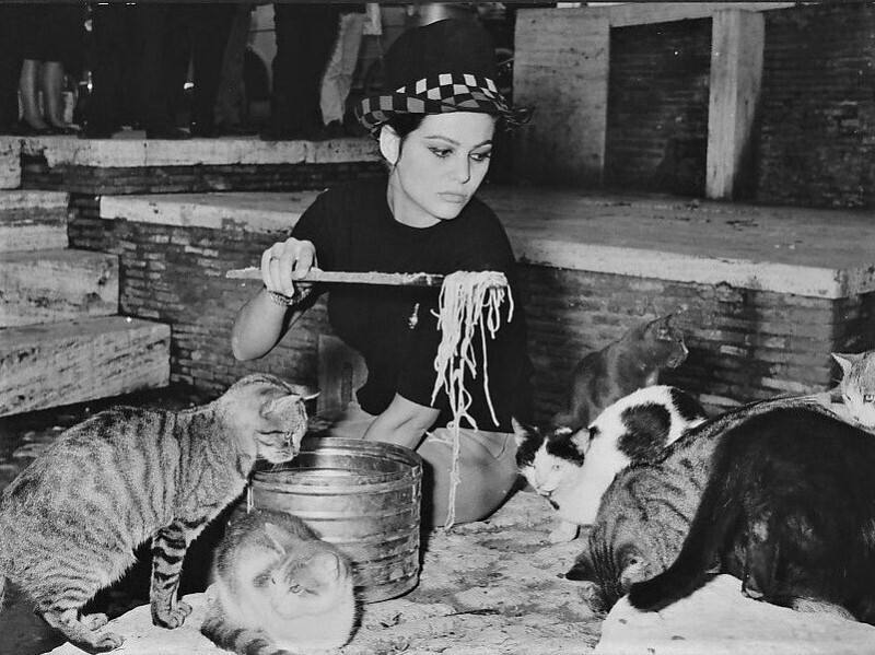 Клаудиа Кардинале кормит спагетти бездомных кошек в Пантеоне, 1963 год.