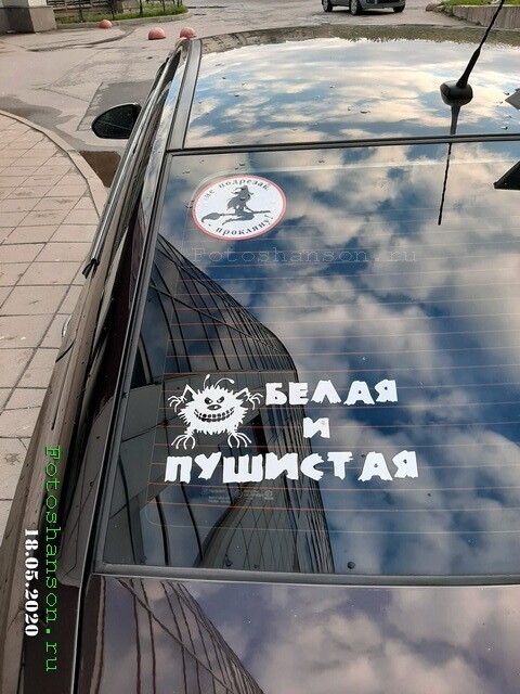 Автовсячина