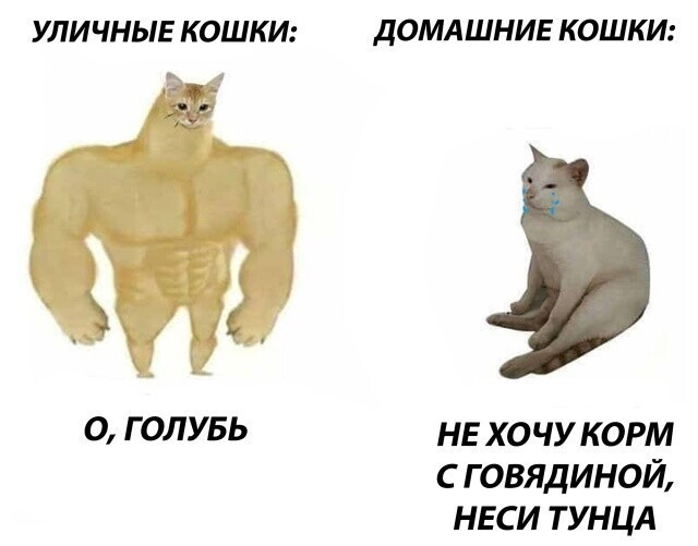 Намешалось