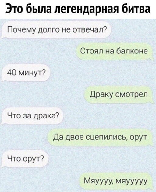 Прикольные и смешные картинки