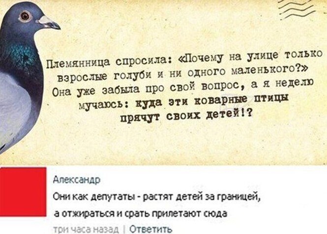 Прикольные и смешные картинки