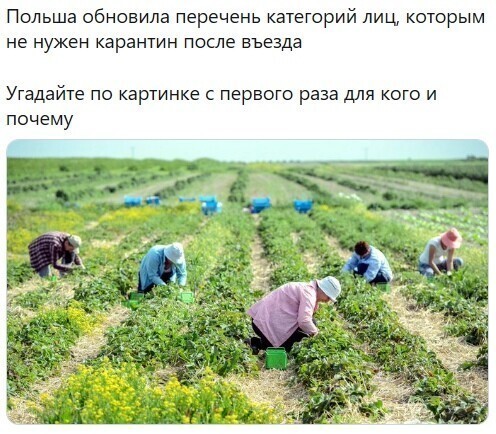 Политические комментарии из инета