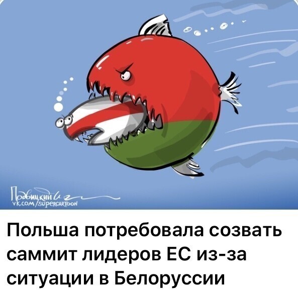 Политические комментарии из инета