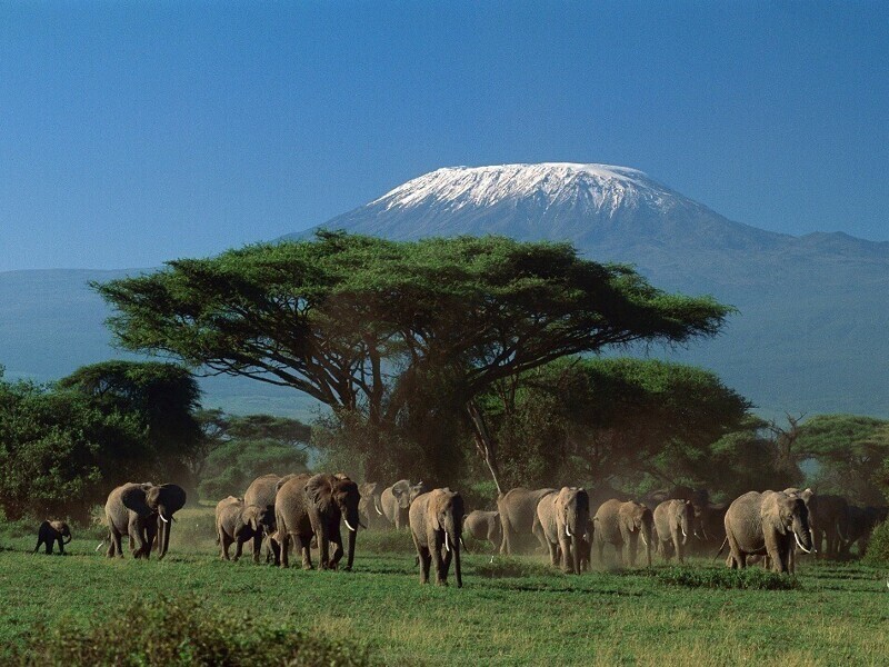 Исчезающий ледник на вершине Килиманджаро