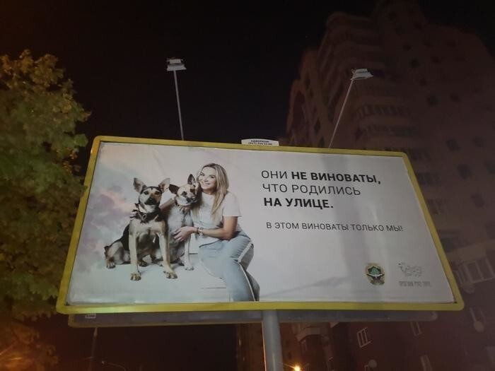 В Минске социальная реклама. Девушка не виновата, что родилась на улице. Бедная девушка )))
