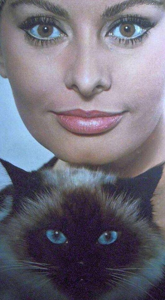 Софи Лорен в 1960-е годы.