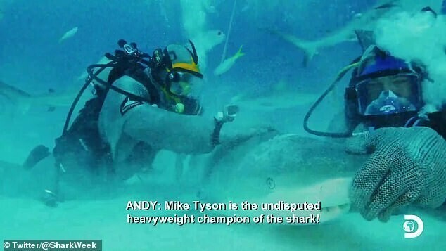 Майк Тайсон отправил акулу в "нокаут" щекоткой