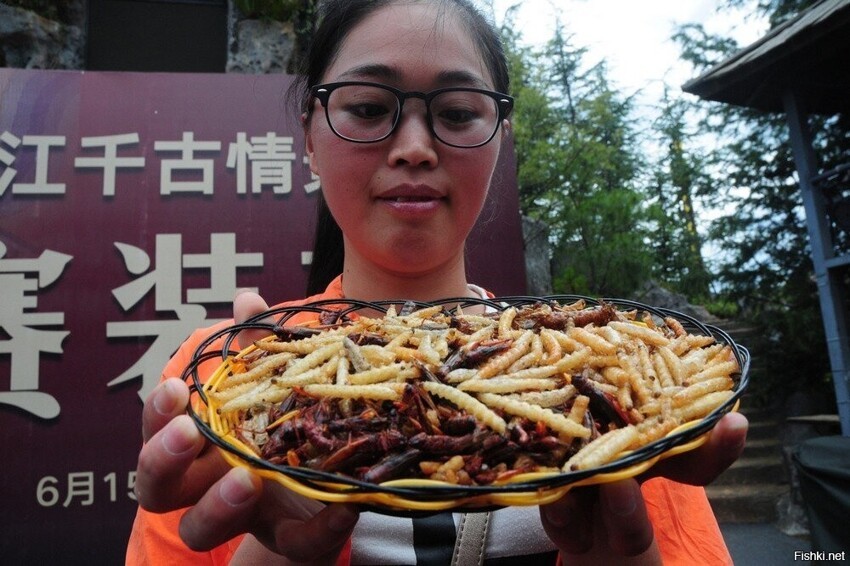
Китайский конкурс по поеданию насекомых.