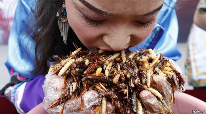 
Китайский конкурс по поеданию насекомых.