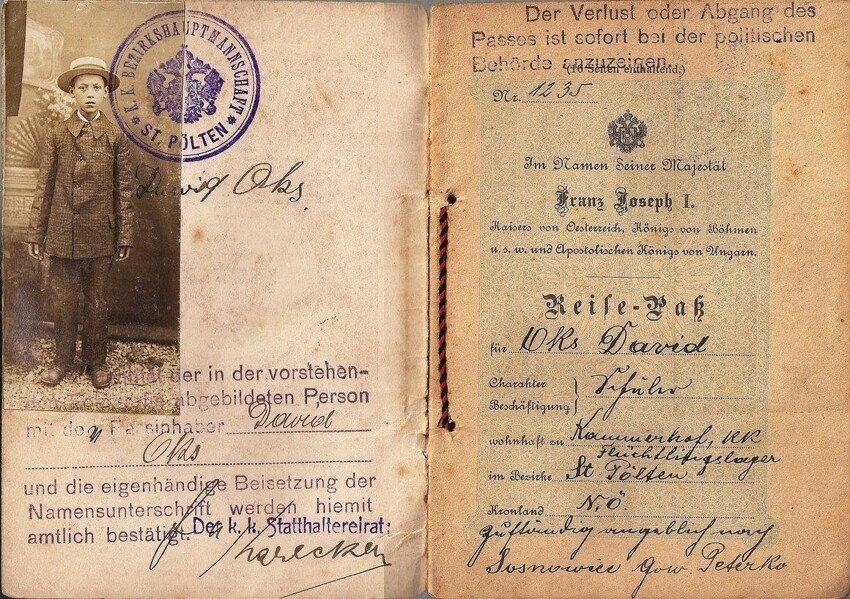 Этот проездной документ 1916 года принадлежал молодому еврейскому беженцу, изображенному на паспортной фотографии «в портретном стиле»