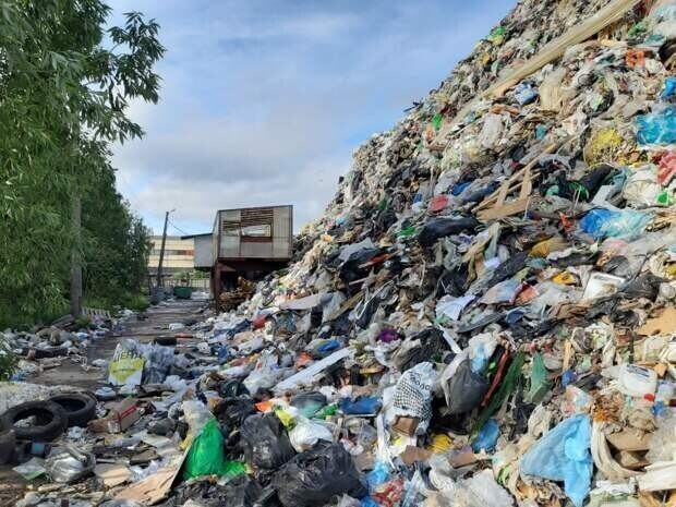 Можно ли игнорировать 40 тысяч тонн мусора? Журналистам телеканала «78» это удалось