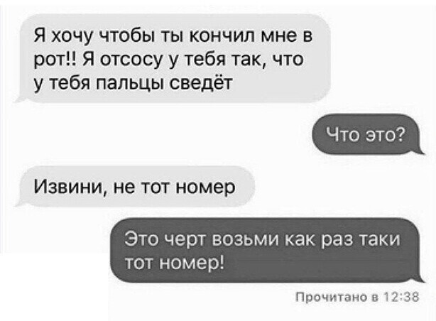 Прикольные и смешные картинки