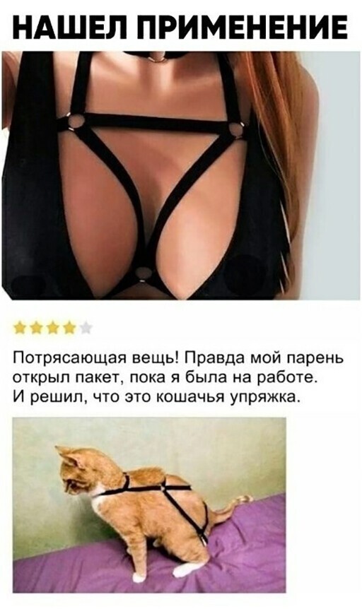 Прикольные и смешные картинки