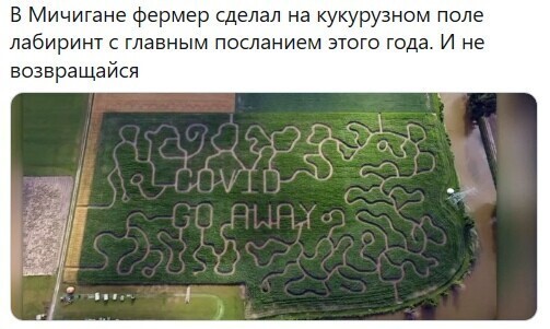 Политические комментарии из инета