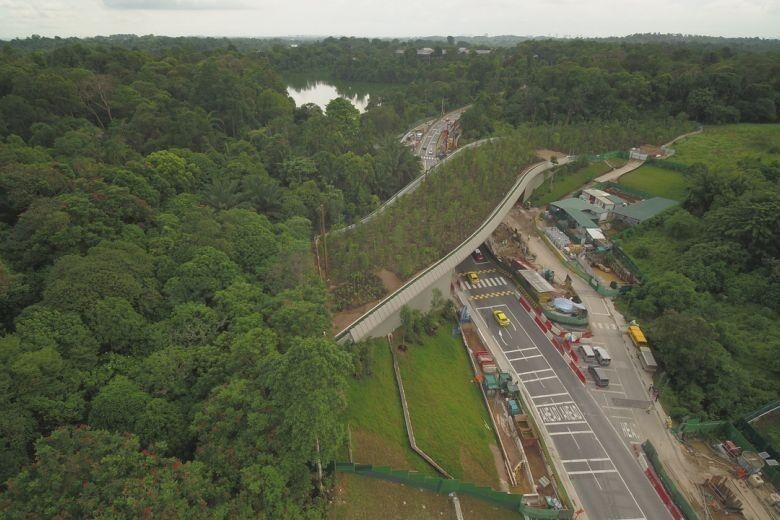 Экодуки: "мосты" которые требуют повсеместной установки
