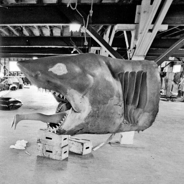 Модель акулы из фильма "Челюсти", 1975 г.