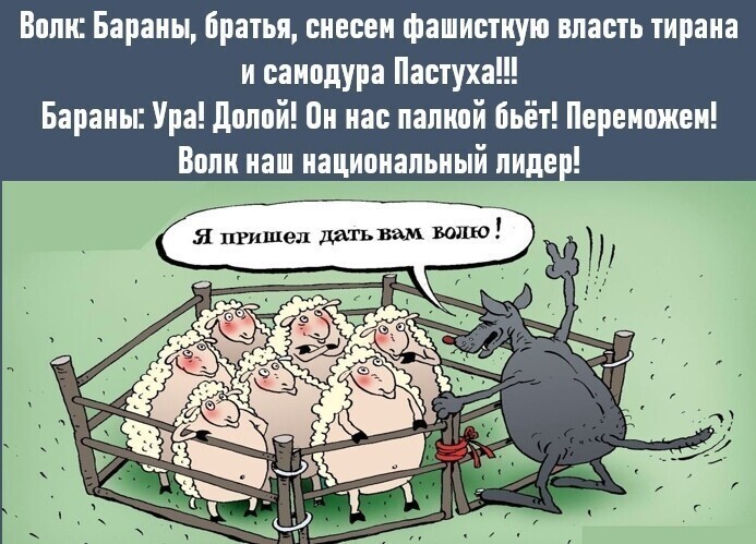 Политические комментарии из инета