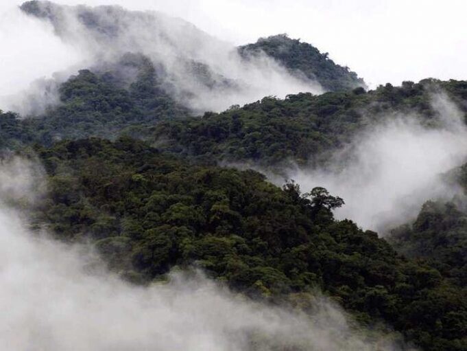  Облакообразный туман дает название Монтеверде Клауд Форест в Коста-Рике.