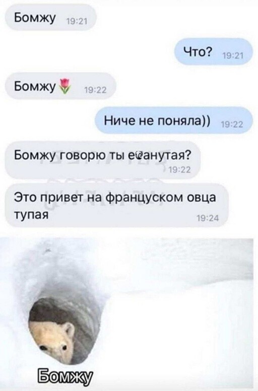 Прикольные и смешные картинки