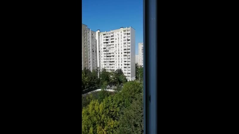 Заранее извините, что видео из ВК... 