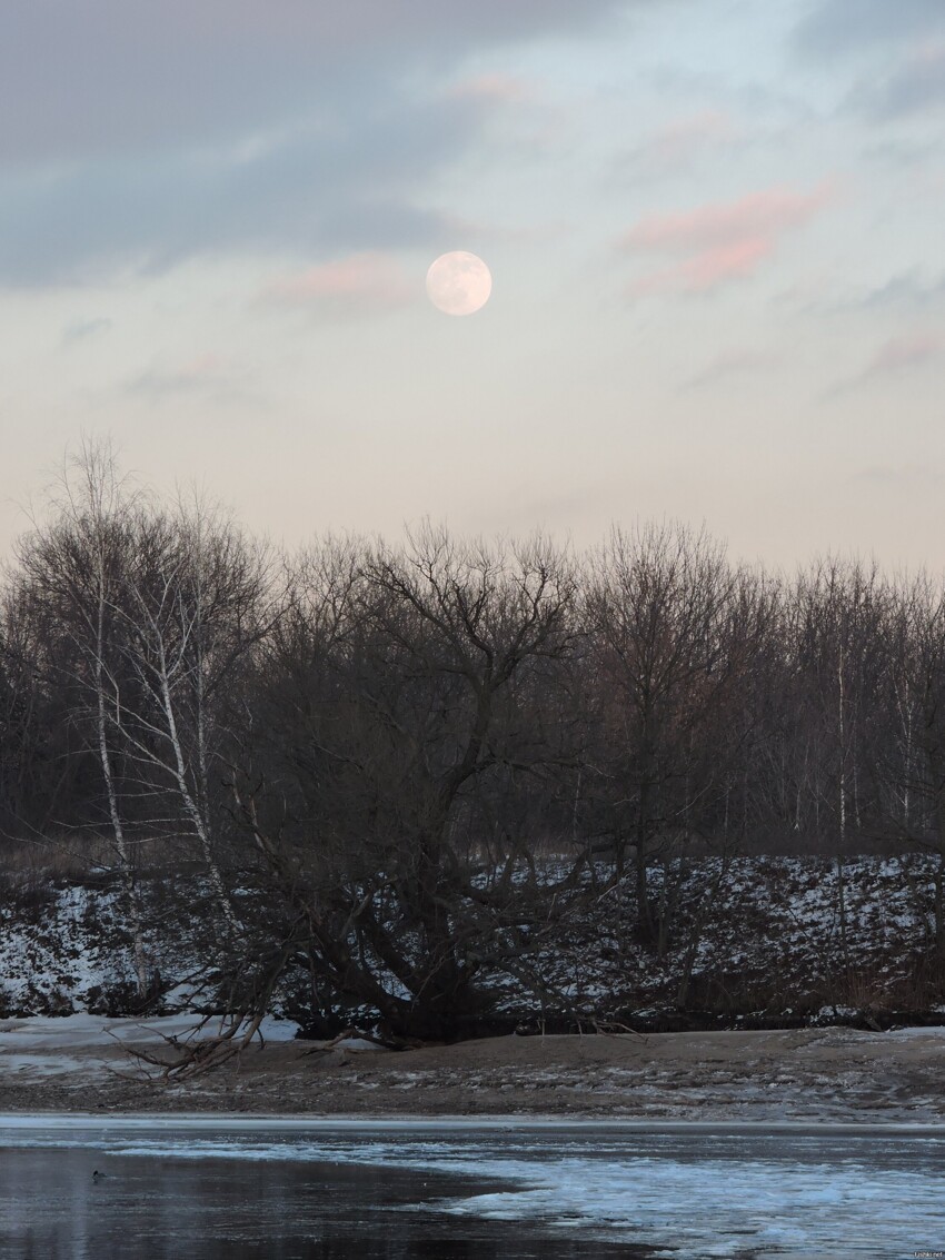Восход полной Луны над Москвой-рекой (8 февраля 2020 года)