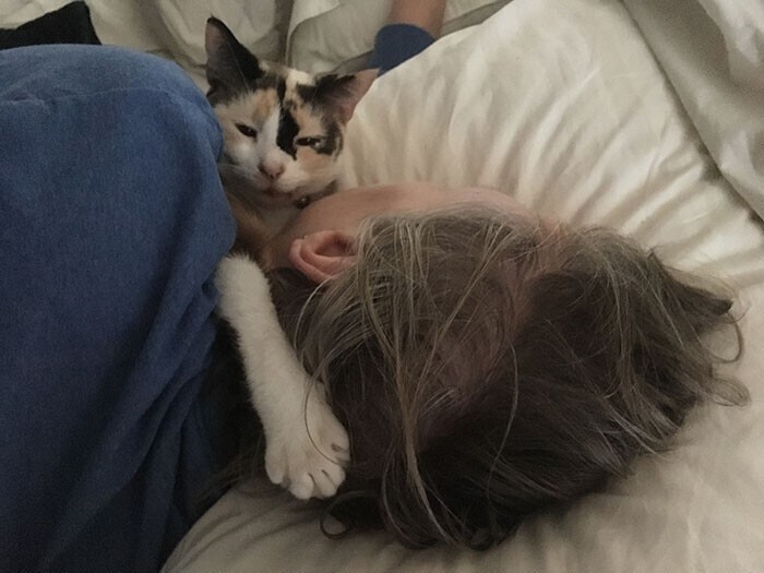 "А моя кошка приучила меня прятаться под одеяло через несколько секунд после звука будильника. Когда моя кошка слышит будильник, она тут же бежит будить меня - а мне иногда так хочется поваляться"