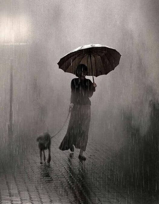 "Дождь на двоих". Нью --Йорк, 1957.