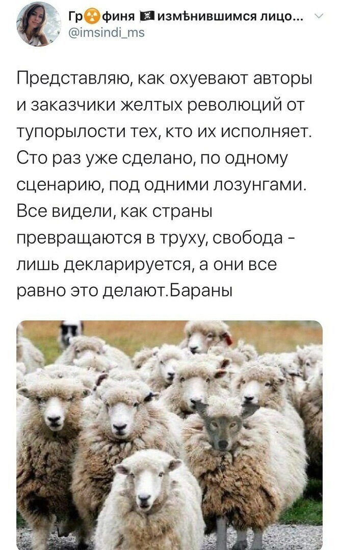 Политические комментарии из инета